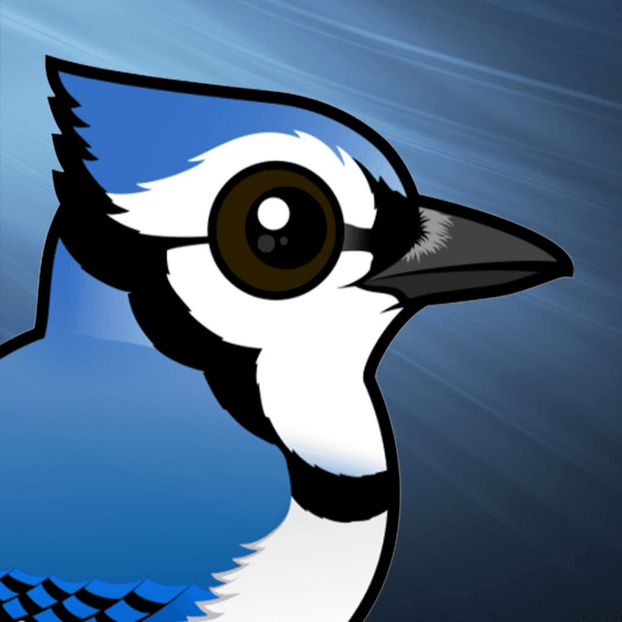 Blue Jay - Animation & Film Analyst